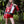 Load image into Gallery viewer, Red Multicolor Sport Racer