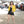 Load image into Gallery viewer, Mini Side Lace Grommet Shorts