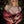 Load image into Gallery viewer, The Red Lace Dress in Picasso Red