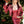 Load image into Gallery viewer, The Red Lace Dress in Picasso Red