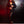 Load image into Gallery viewer, Black Snakeskin print Rocker Coat Dress