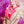 Charger l'image dans la galerie, Floral and Fuschia Zip Moto Jacket