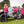 Charger l'image dans la galerie, Hot Pink Barbie Bomber Jacket