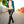 Load image into Gallery viewer, Teal Washed Cropped Motorcycle Jacket
