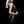 Load image into Gallery viewer, Collarless Body Vest