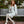 Charger l'image dans la galerie, White Stretch Biker